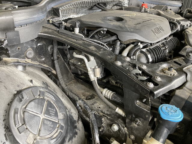 ���A�̑���肻��1